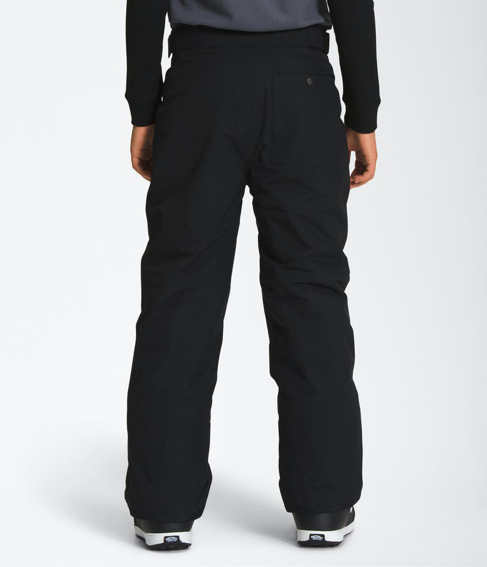 Boys Freedom Pant Village Ski Hut The North Face Junior Outerwear, Junior Snow Pants, Kids, Winter, Winter 2024
