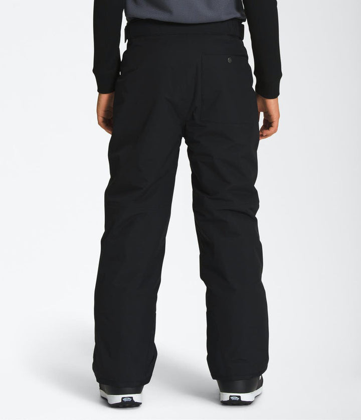 Boys Freedom Pant Village Ski Hut The North Face Junior Outerwear, Junior Snow Pants, Kids, Winter, Winter 2024