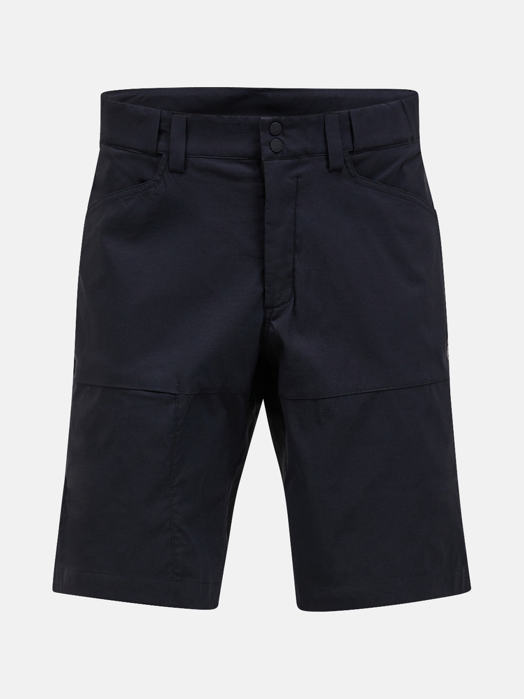 Mens Iconiq Shorts (past season)