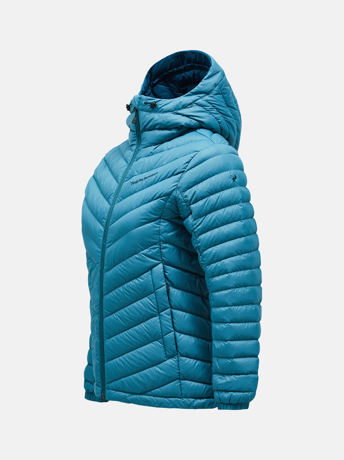 Women's Frost Down Hood Jacket