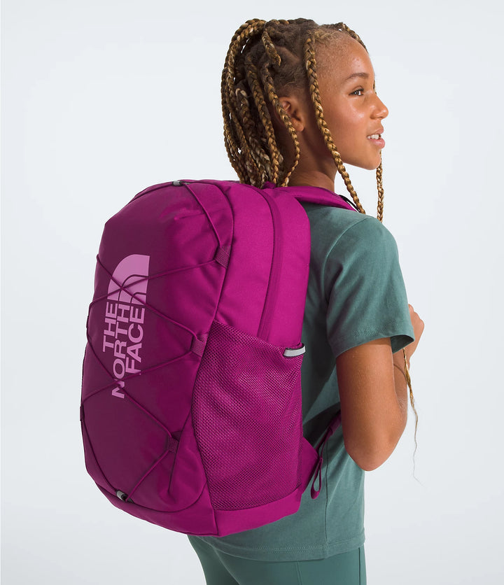 Pink And Purple North Face Backpack Youth Court Jester The North Face