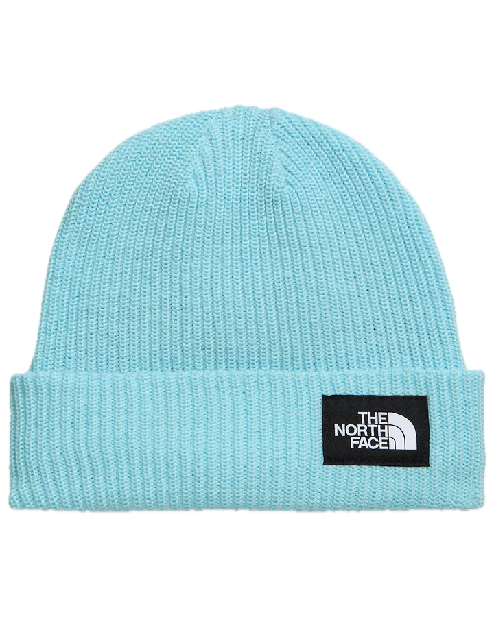 Salty Lined Beanie
