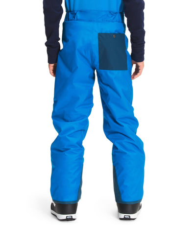 Boy's Freedom Insulated Pant Village Ski Hut The North Face Junior Outerwear, Junior Snow Pants, Kids, Winter 2022